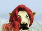 MUCCA O RENNA? 